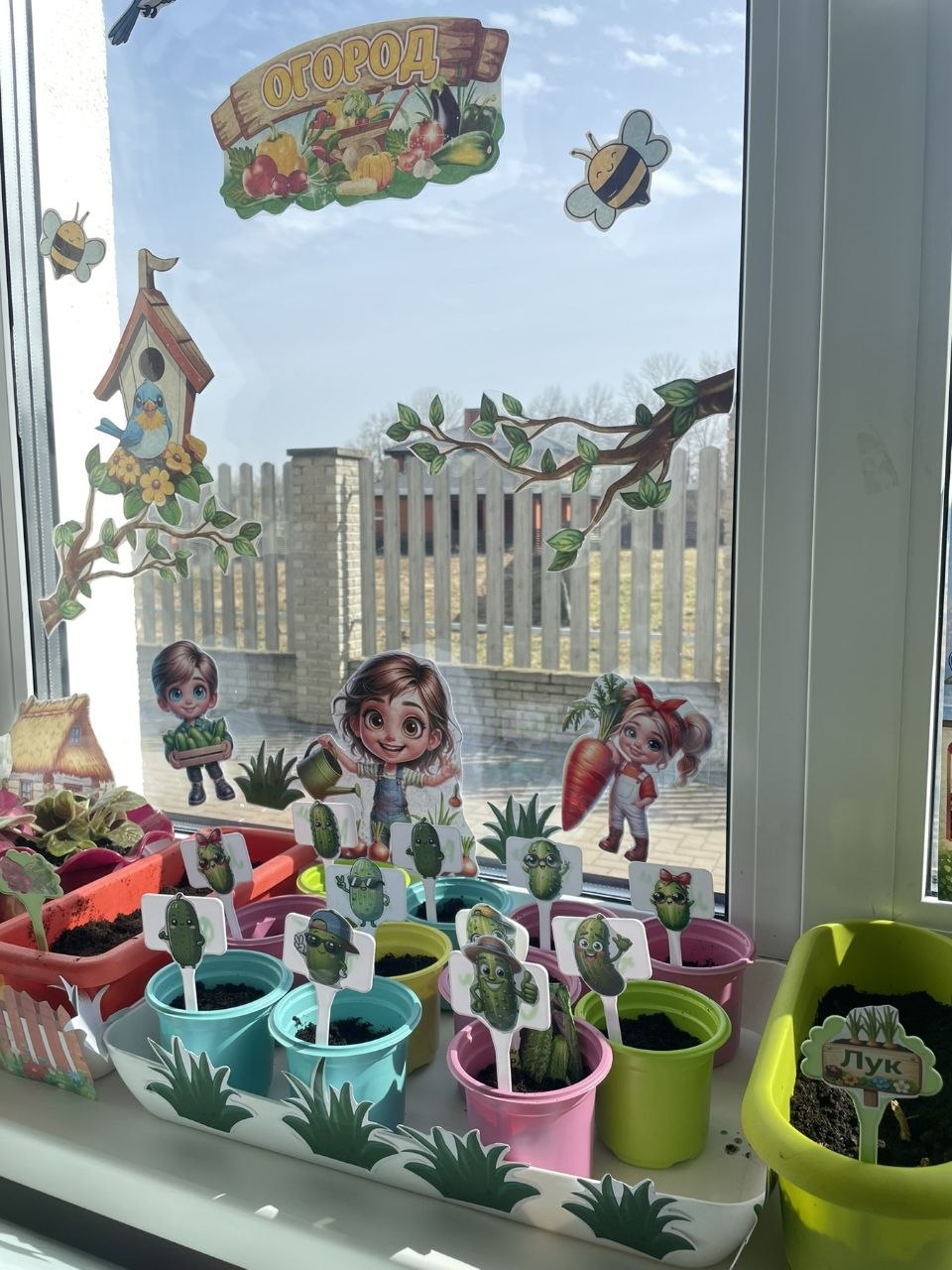 Огород на окошке