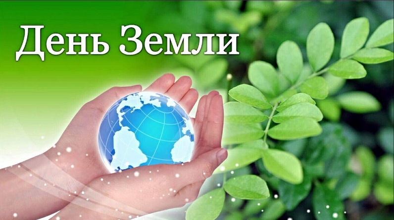 Учимся беречь природу вместе